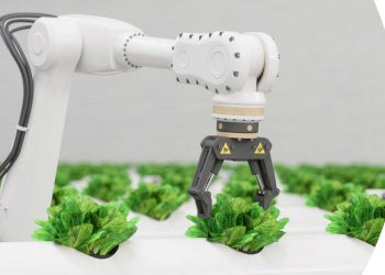 “Consistent, mandatory labelling of environmental impact is critical," say WBCSD and KPMG