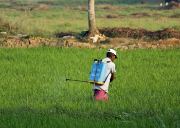 Pesticides being sprayed in Kerala (novel entities), India. Pic: Arjun MJ