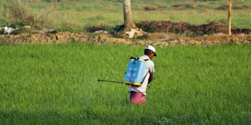 Pesticides being sprayed in Kerala (novel entities), India. Pic: Arjun MJ