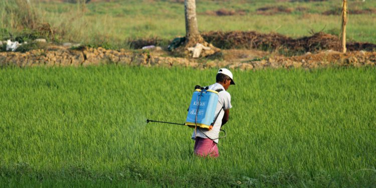 Pesticides being sprayed in Kerala (novel entities), India. Pic: Arjun MJ