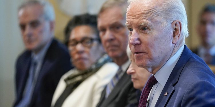 President Joe Biden speaks during a Cabinet meeting at the White House on March 3. | Patrick Semansky/AP Photo
