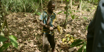 Miki Mistrati has seen children as young as eight working with machetes. Pic: Made in Copenhagen