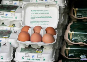 Eggs from hens previously classed as free-range will now have to be sold as barn eggs. Photograph: Daniel Berehulak/Getty Images