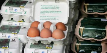 Eggs from hens previously classed as free-range will now have to be sold as barn eggs. Photograph: Daniel Berehulak/Getty Images