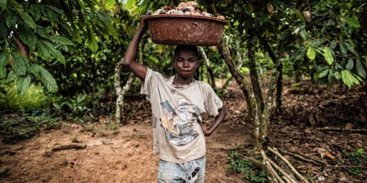 Few companies are monitoring child labour, says WBA report. Pic: funender.com