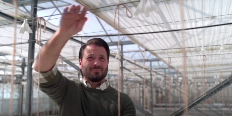 Tony Montalban in an empty glasshouse at Roydon in the Lea Valley.