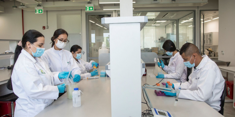 A group of researchers works at the Future Seeds gene bank in Palmira, Colombia November 11, 2021. Picture taken November 11, 2021. Courtesy of International Center for Tropical Agriculture