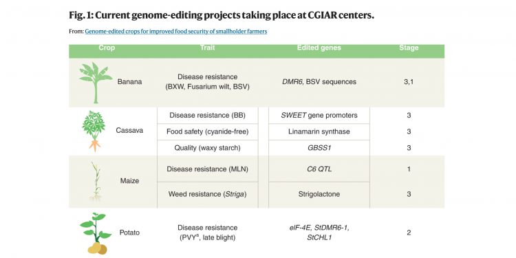 Current genome-editing projects taking place at CGIAR centers