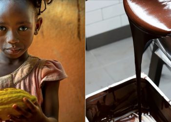 if it seems too cheap, it is too cheap. There’s something wrong somewhere along the way.”