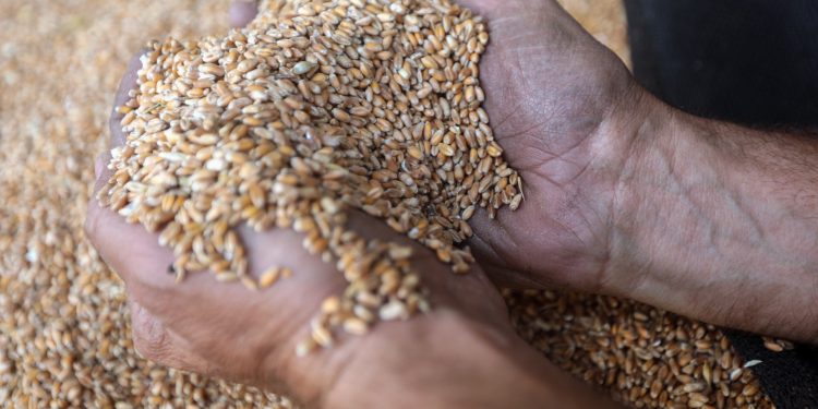 A worker handles wheat delivered to a milling facility in Chouf, Lebanon. Pic: Hasan Shaaban/Bloomberg