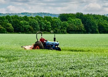 "At SCOOP we don’t demand exclusivity and actively encourage farmers to find new and better markets for themselves." Pic: Cotswolds farmer by David George