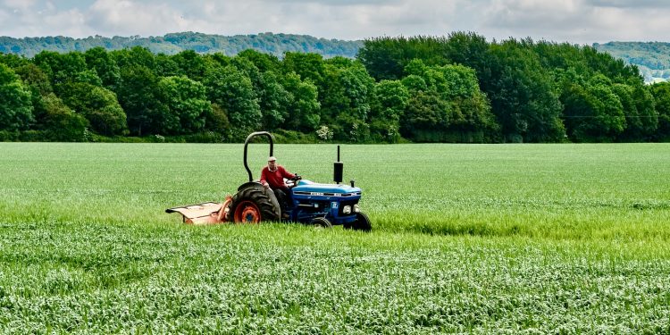 "At SCOOP we don’t demand exclusivity and actively encourage farmers to find new and better markets for themselves." Pic: Cotswolds farmer by David George