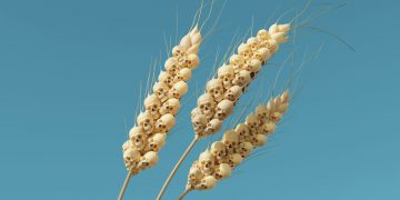 "World leaders should see hunger as a global problem urgently requiring a global solution"