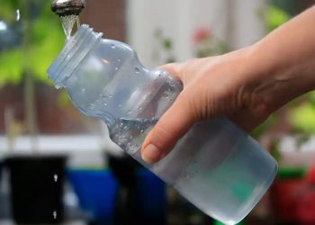 Pollutants cited by the researchers as increasing obesity include BPA, which is widely added to plastics. Photograph: Jonathan Brady/PA