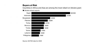 Buyers at Risk Countries in Africa and Asia are among the most reliant on Ukraine grain