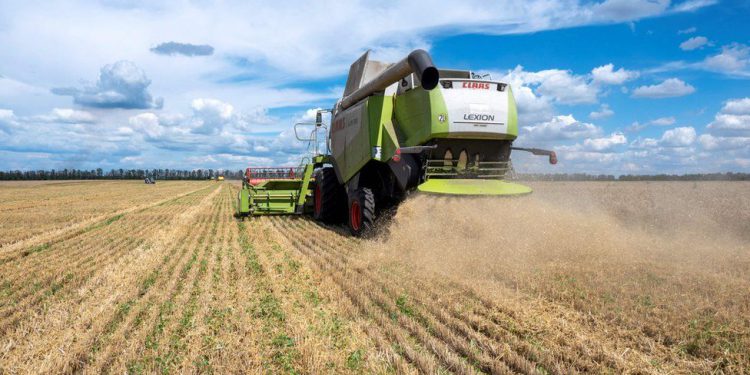 Grain exports