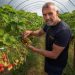 Farmer Andy Pimbley examining ripening strawberries inside a polytunnel at Claremont Farm in Bebington on the Wirral © Colin McPherson/FT